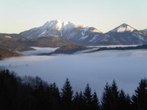 Pension Höhenstein Lunz am See Österreich