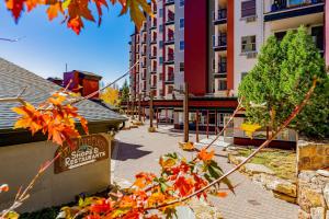 Torian Plum Plaza 403