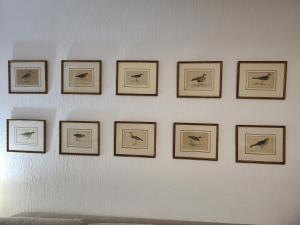 La consulta de Paloma, Plaza encanto historico