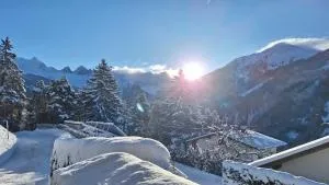 Apartments Amelie -2- mit Wallbox für ihr E-Auto und Garage für 2 Motorräder - Kauns