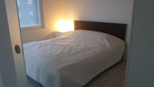 Moderni asunto hyvien yhteyksien päässä