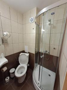 Студио Алтом