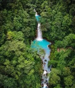 Posada Familiar Rìo Celeste - Caño Negro