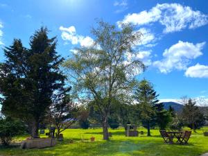 LEtoile du Vignoble au cœur dun ranch alsacien sur la route des Vins