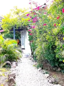 San Sebastian Lodge Curaçao - 威利布罗德