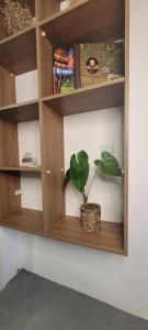 kitnet 03 aconchegante em João Monlevade