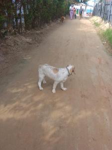 Mágica Cabaña familiar cerca al mar