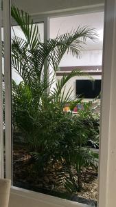 Acomodações Inteiras