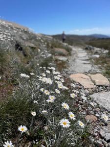 Walk to Slopes & Village, Stylish 2BR Thredbo Chalet with Garage