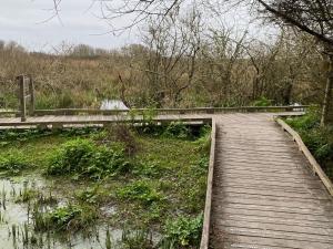 Maison charmante près du château de Suscinio avec jardin et parking - FR-1-639-128