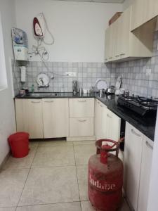 Nainigreen Valley Kainchidham Luxurious Homestay