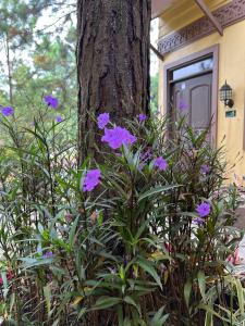 Tagaytay resthouse at Barbs Place Crosswinds