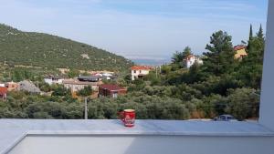 Seron Mountain House