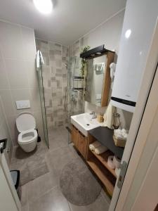 Apartman Nina Divcinova