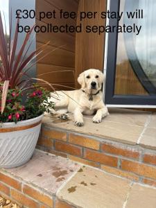 Luxury Glamping Pods with private Hot Tubs - Dog Friendly