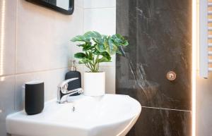 Romantic Studio in Downtown