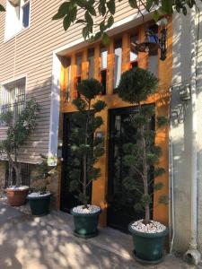 Kaleiçi amazing location affordable price studio house