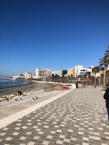 Vollga Four Seasons Apartment