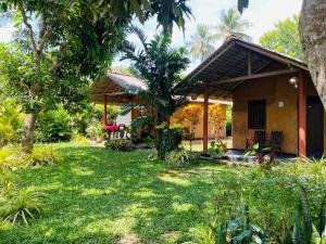 Brown Cabana Tangalle