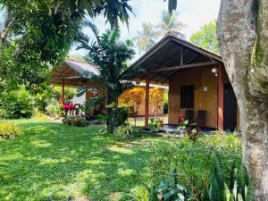 Brown Cabana Tangalle