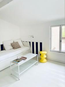 Joli studio vue sur Saône
