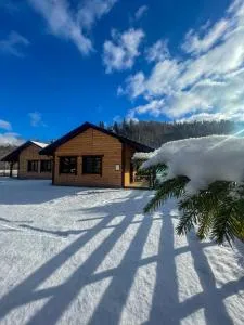 Bieszczadzki Luz - Nasiczne