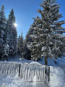 Harmony Peak Jahorina