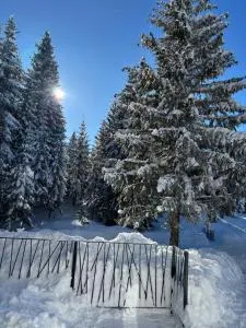 Harmony Peak Jahorina - Bistrica
