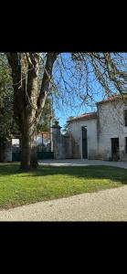 B&B / Chambres d'hotes La Maison du Jardin : photos des chambres