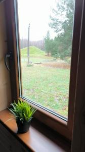 Sodyba pas Martyna 2