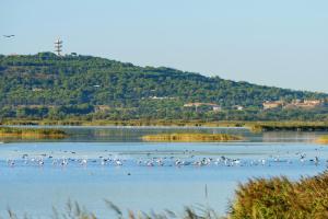 Villages vacances Lagrange Grand Bleu Vacances – Residence Les Pescalunes : photos des chambres