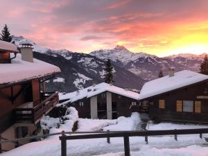 61 22 trois pièces à Gryon vue imprenable sur les montagnes