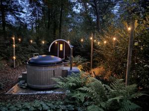 Mooi 4p Wellness chalet in het Bos met finse Sauna en Hottub