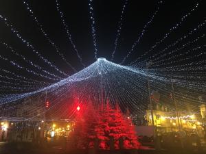 Appartements Le Fitzgerald -Tres joli 3 pieces Art Deco Deauville HyperCentre : photos des chambres