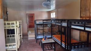 The Roaming Nest - Panglao
