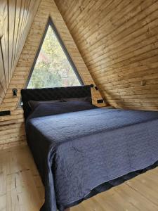 Villa SS Black Fruška Gora