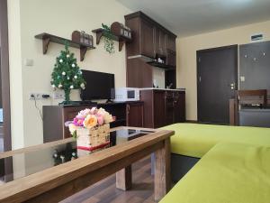 Aspen Apartment A212 3OOm from Gondola