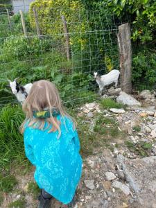 Maisons de vacances Gite familial a la ferme des Hellandes : photos des chambres