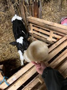 Maisons de vacances Gite familial a la ferme des Hellandes : photos des chambres