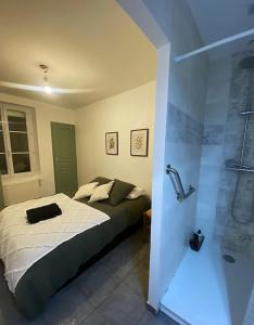Maisons de vacances Au charme Amboisien, maison centre ville au calme : photos des chambres