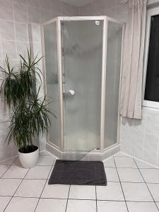 Ferienhaus Sonnendeich