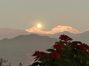 Hotel Pristine Himalaya