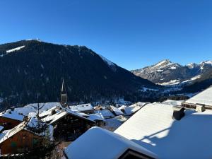 Le Savoisien, Appartement in centrum Chatel 150 m van ski-lift