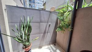 Apto moderno com miniquintal próprio e piscina