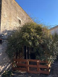 Appartements L'Ecurie en ville : photos des chambres