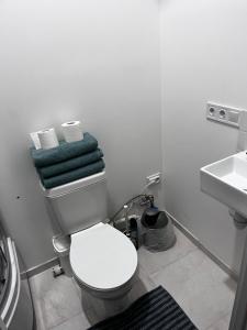 Lukiskiu apartament