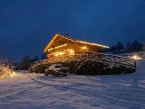 Zrubový Dom na samote - Chalet - 班斯卡 - 什佳夫尼察