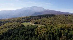 Villa Cherry Strazhe - 乌罗舍瓦茨