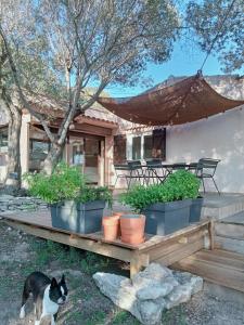 Maisons de vacances La Carpa : photos des chambres