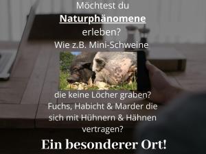 Kleine einzigartige Ferienwohnung auf dem Bauernhof, direkt in der Natur mit Blick auf Schloss Braunfels